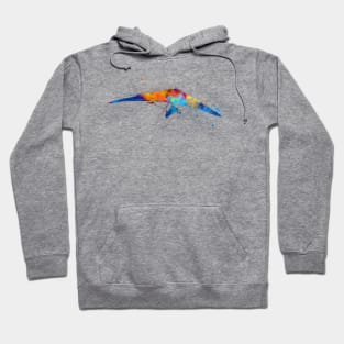 Delta wing in watercolor Hoodie